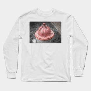 Painted Bonnet Long Sleeve T-Shirt